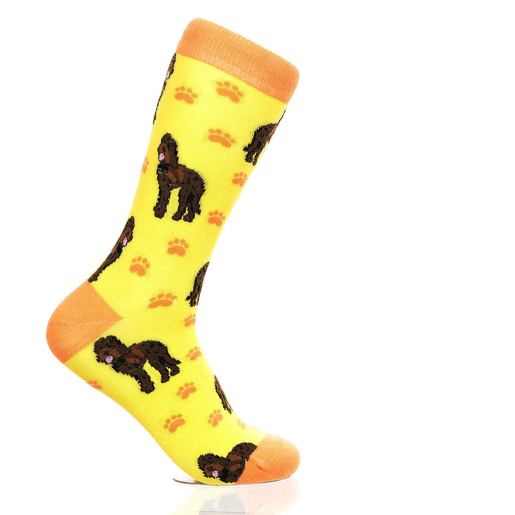 Labradoodle | Plenty of Pups