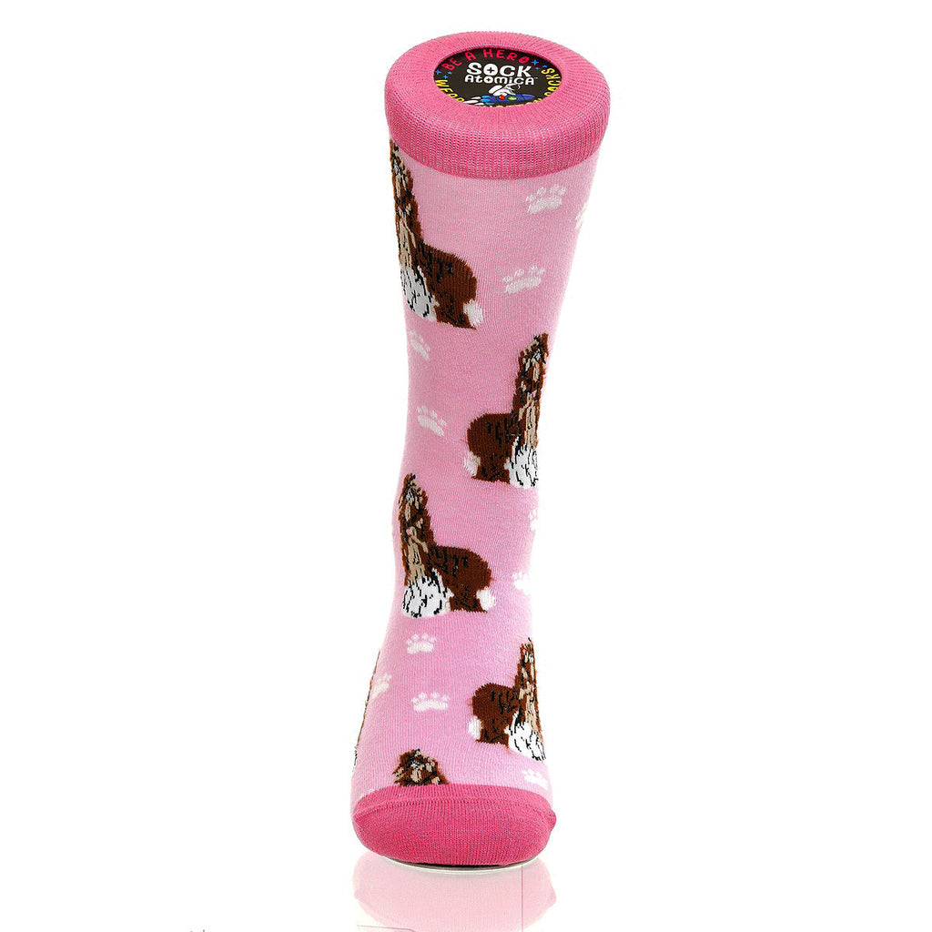 Shih Tzu | Plenty of Pups