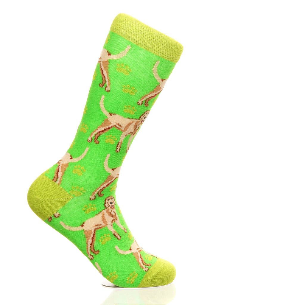 Yellow Labrador | Plenty of Pups