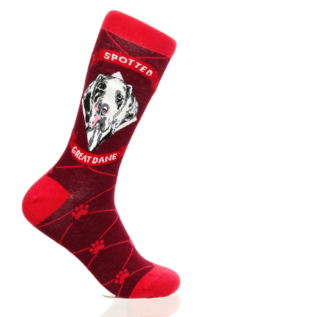 Spotted Great Dane | Argyle Pups