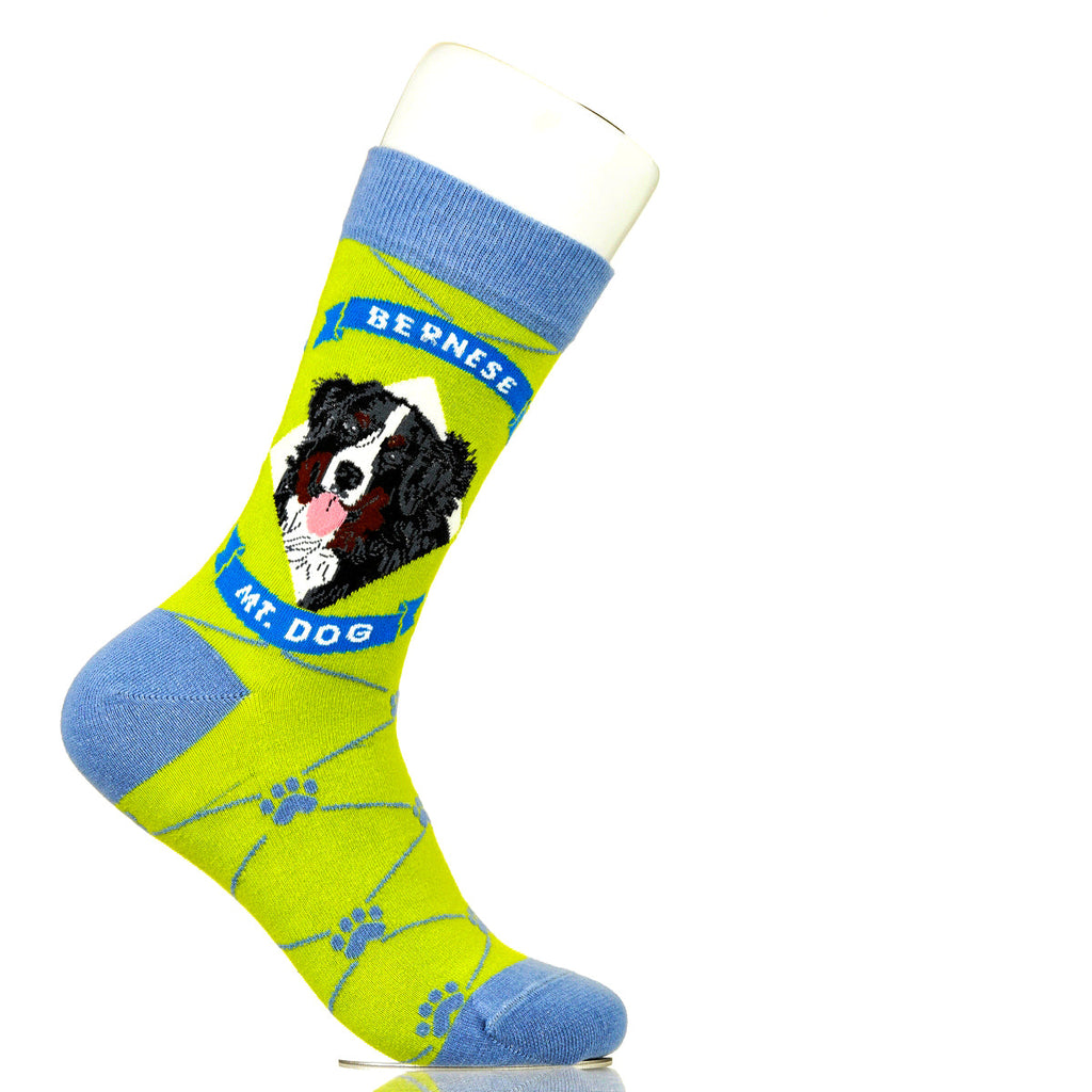 Bernese Mountain Dog | Argyle Pups