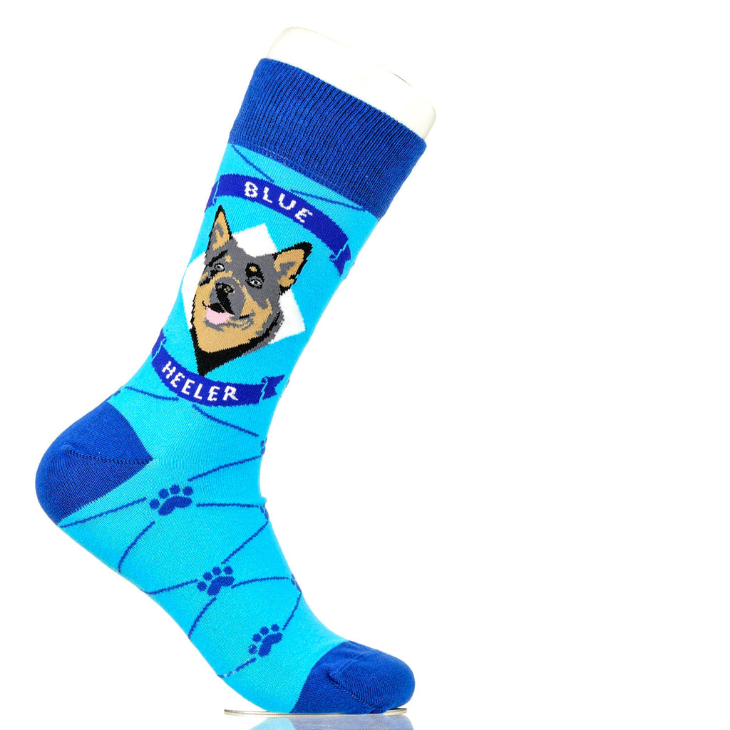 Blue Heeler | Argyle Pups