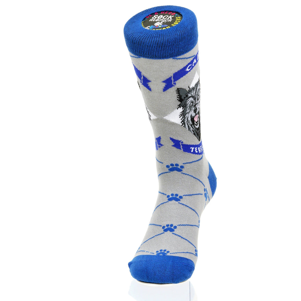 Cairn Terrier | Argyle Pups