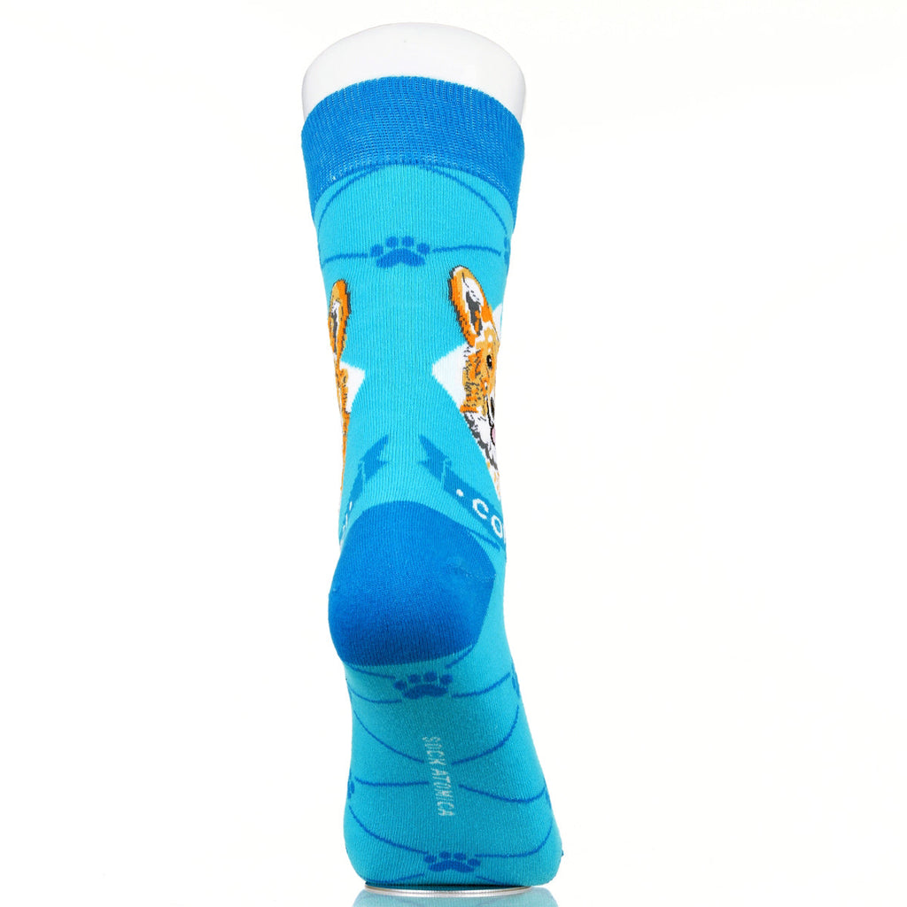 Corgie | Argyle Pups