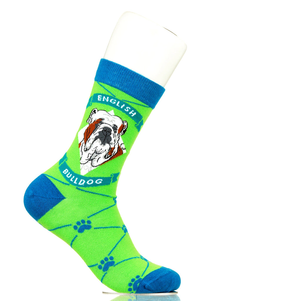 English Bulldog | Argyle Pups