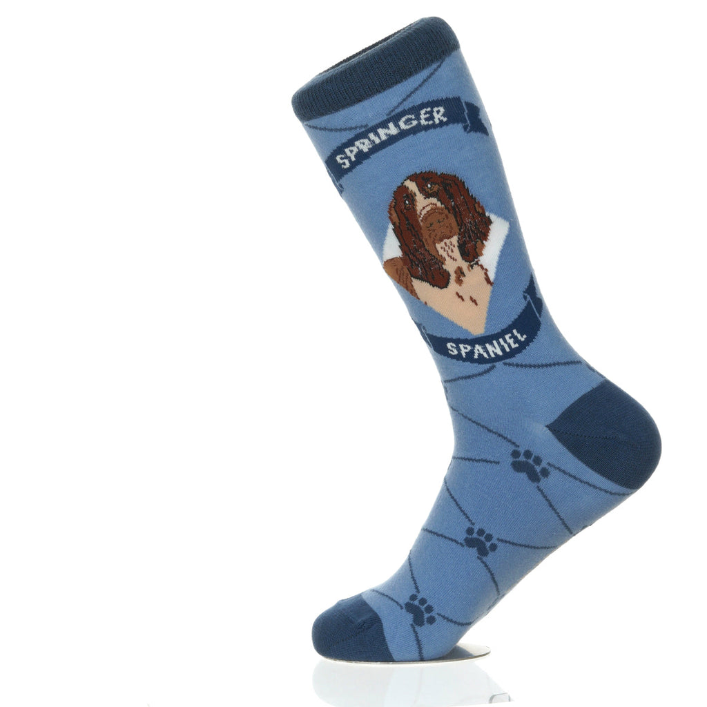 Springer Spaniel | Argyle Pups