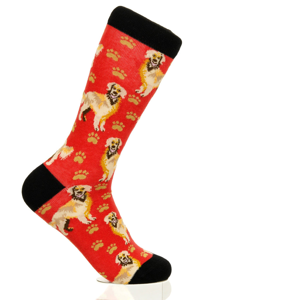 Golden Retriever | Plenty of Pups