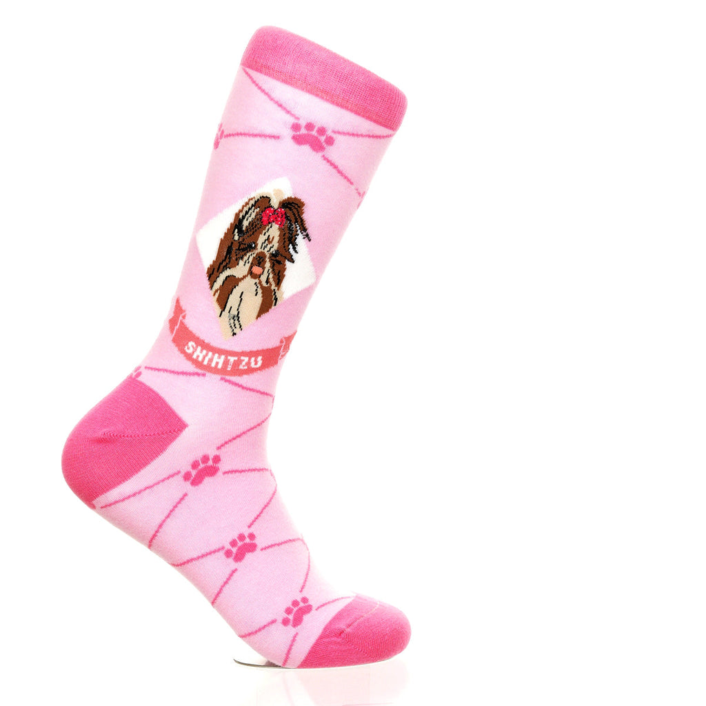 Shih Tzu | Argyle Pups