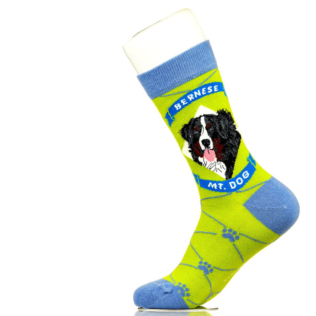 Bernese Mountain Dog | Argyle Pups