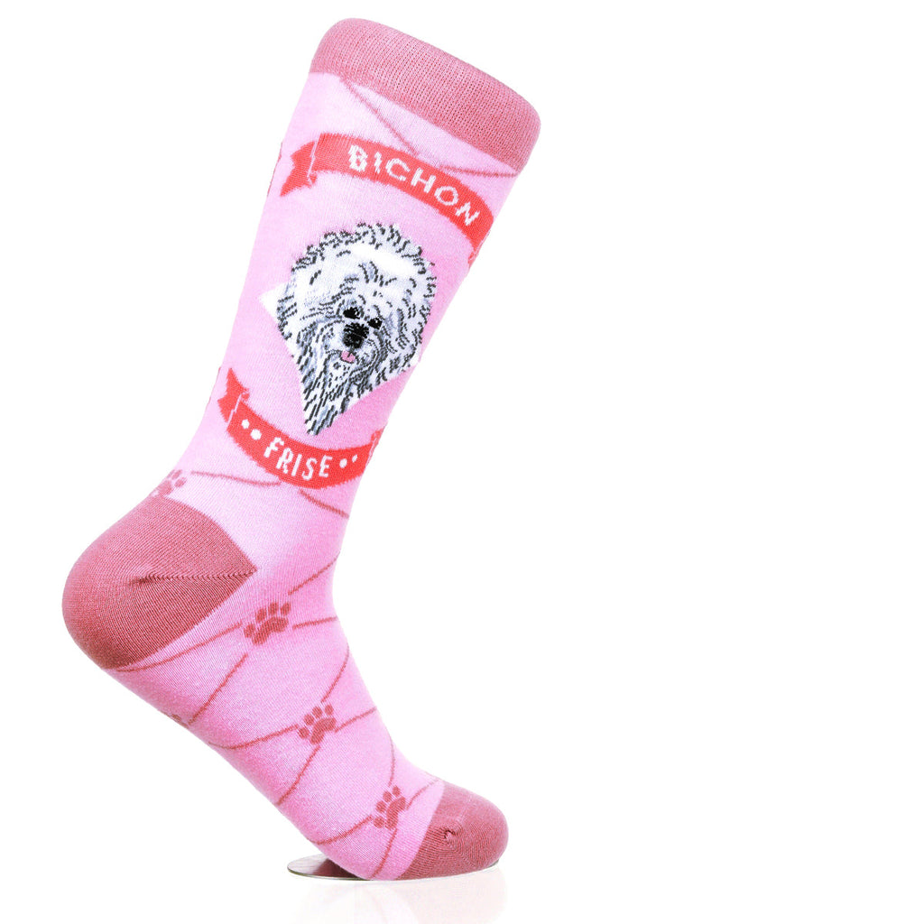 Bichon Frise | Argyle Pups