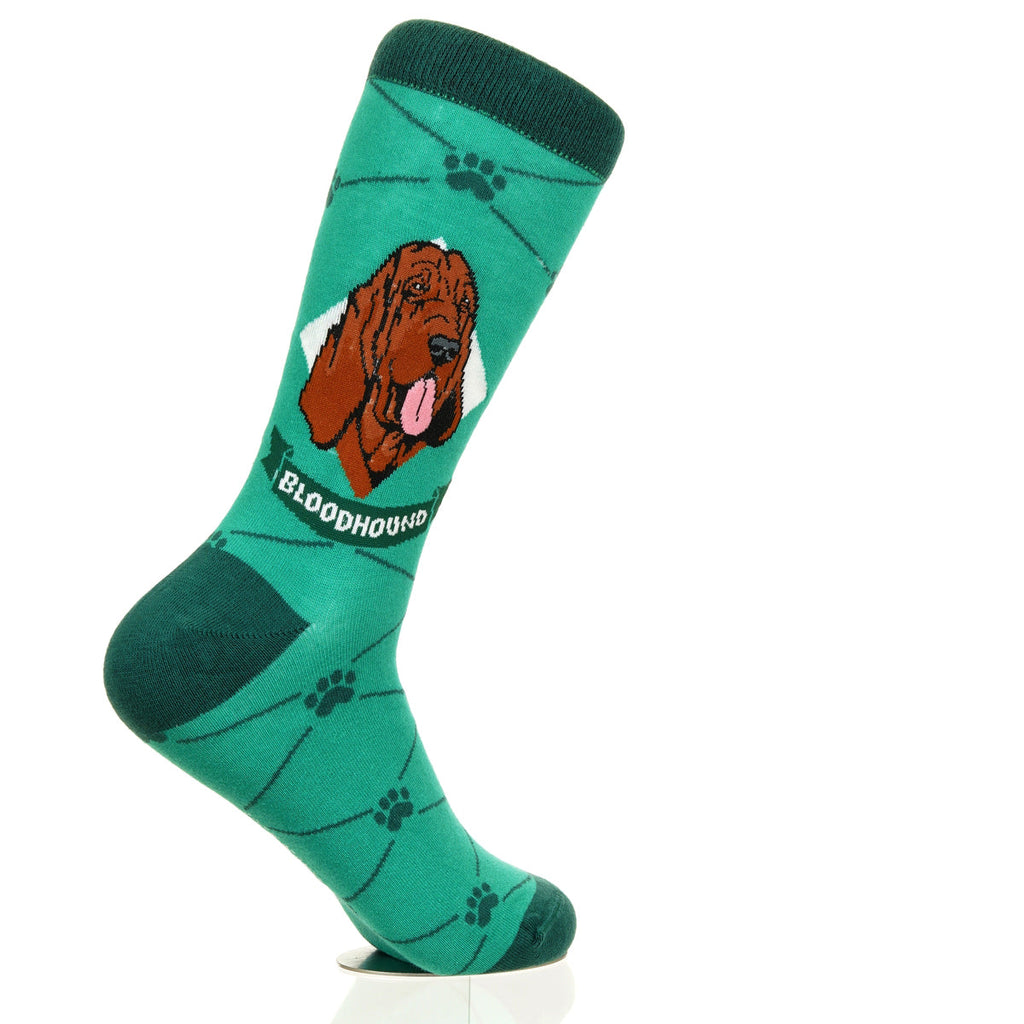 Bloodhound | Argyle Pups