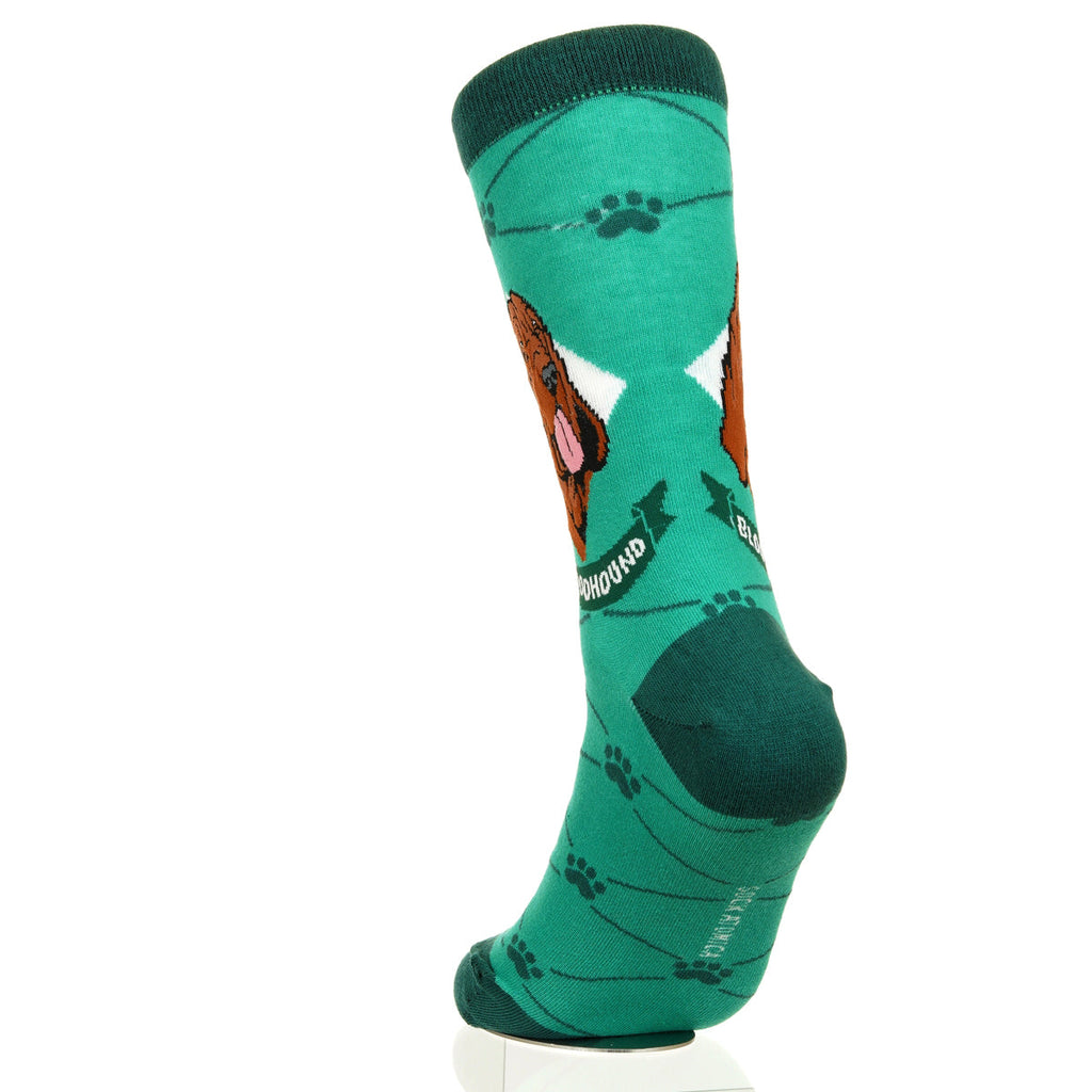 Bloodhound | Argyle Pups