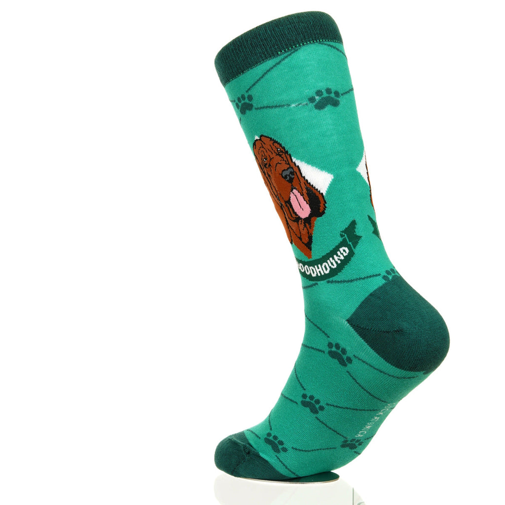 Bloodhound | Argyle Pups