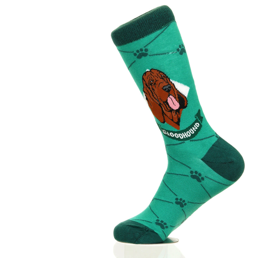 Bloodhound | Argyle Pups