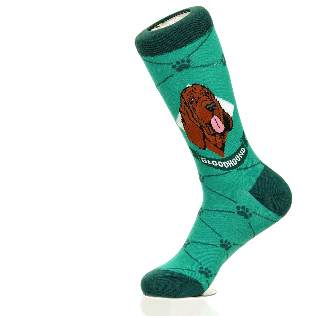 Bloodhound | Argyle Pups