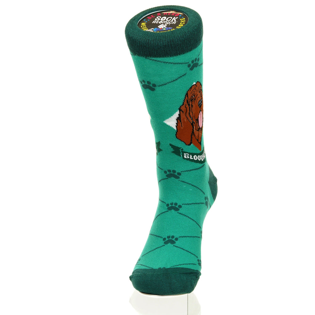 Bloodhound | Argyle Pups