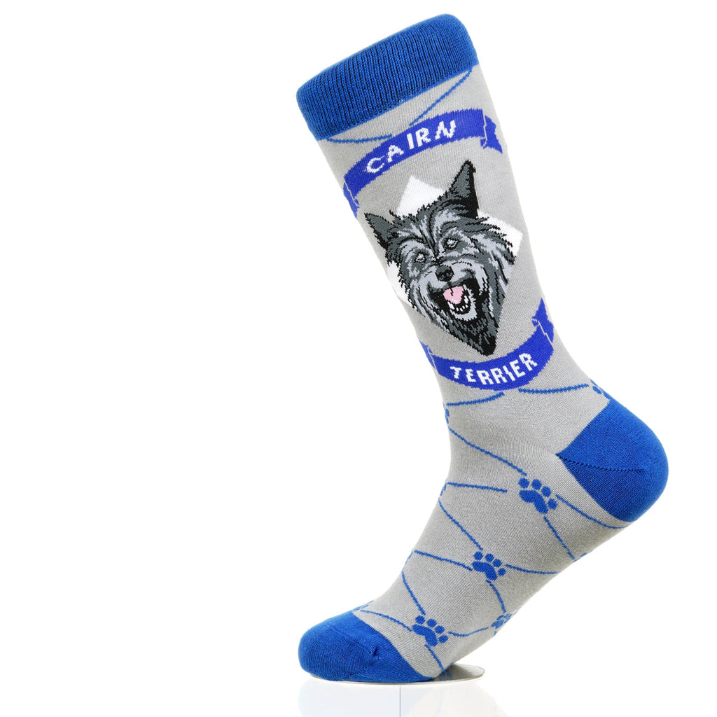 Cairn Terrier | Argyle Pups