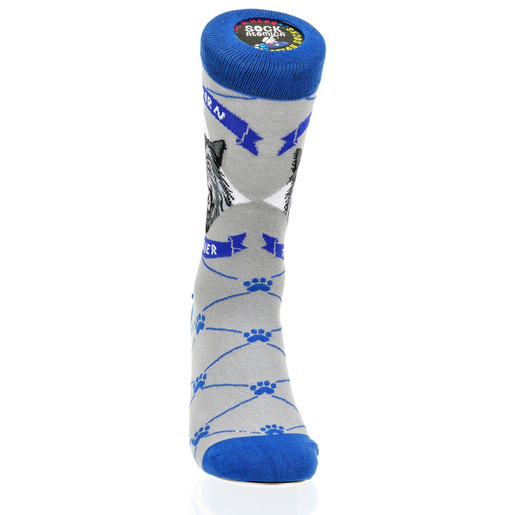 Cairn Terrier | Argyle Pups