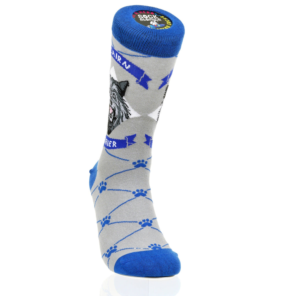 Cairn Terrier | Argyle Pups