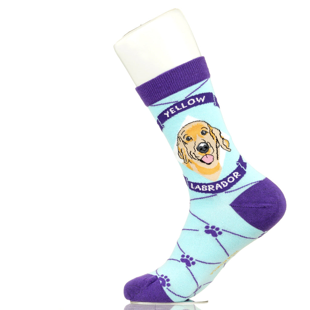 Labrador Yellow Lab | Argyle Pups