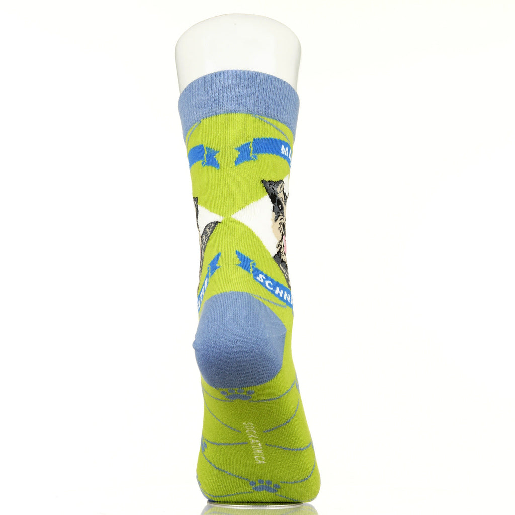 Mini Schnauzer | Argyle Pups