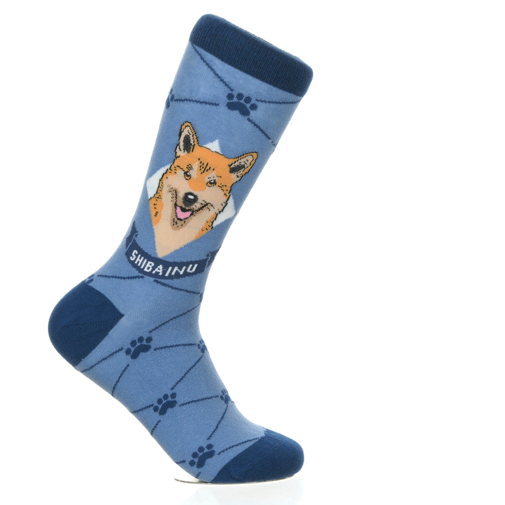 Shiba Inu | Argyle Pups