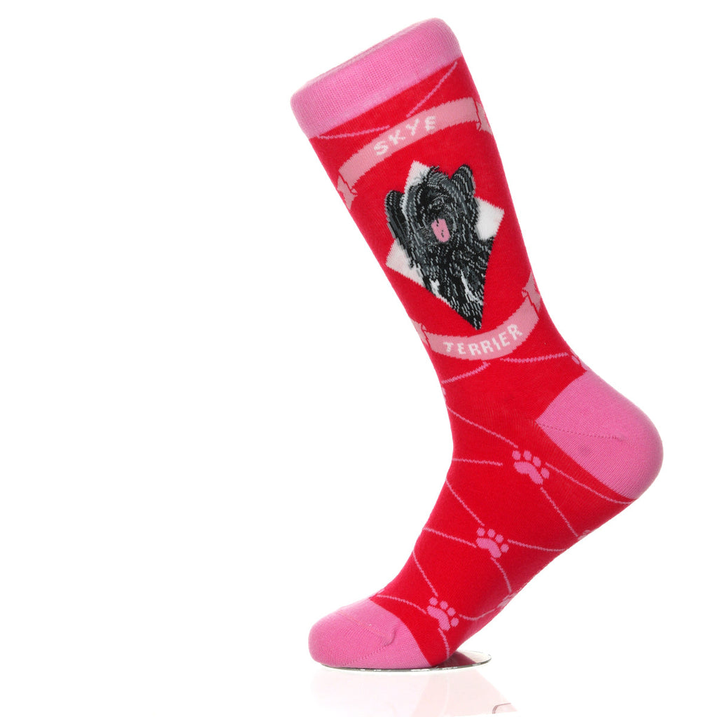 Skye Terrier | Argyle Pups