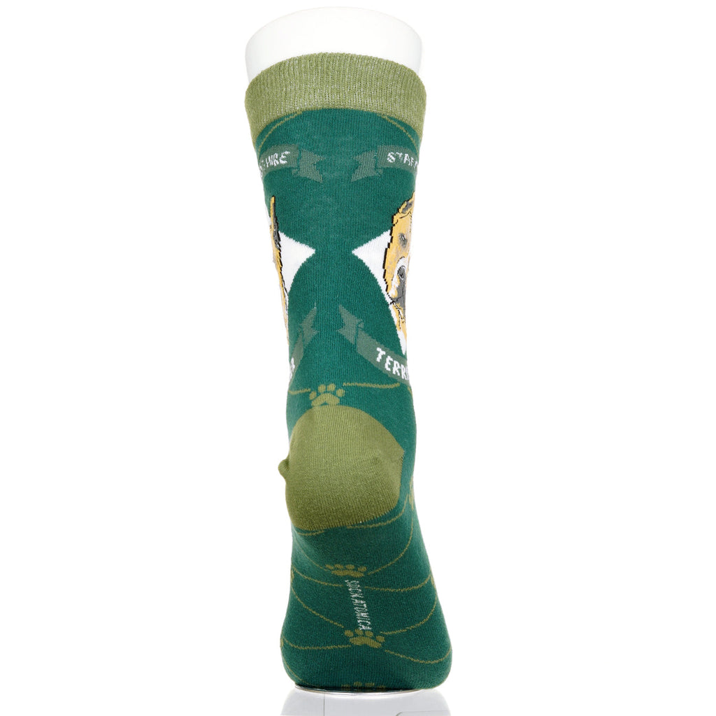 Staffordshire Terrier | Argyle Pups