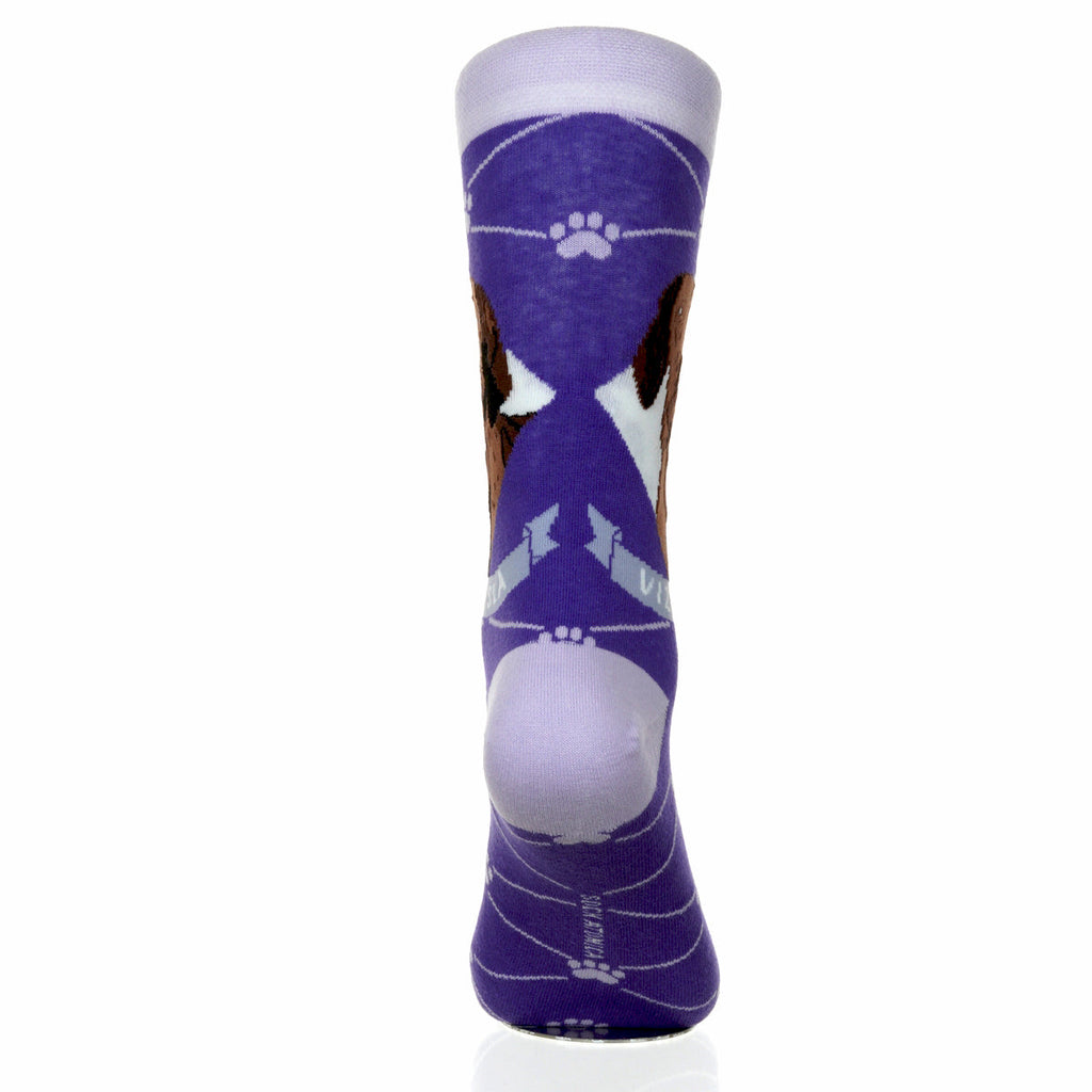 Vizsla | Argyle Pups