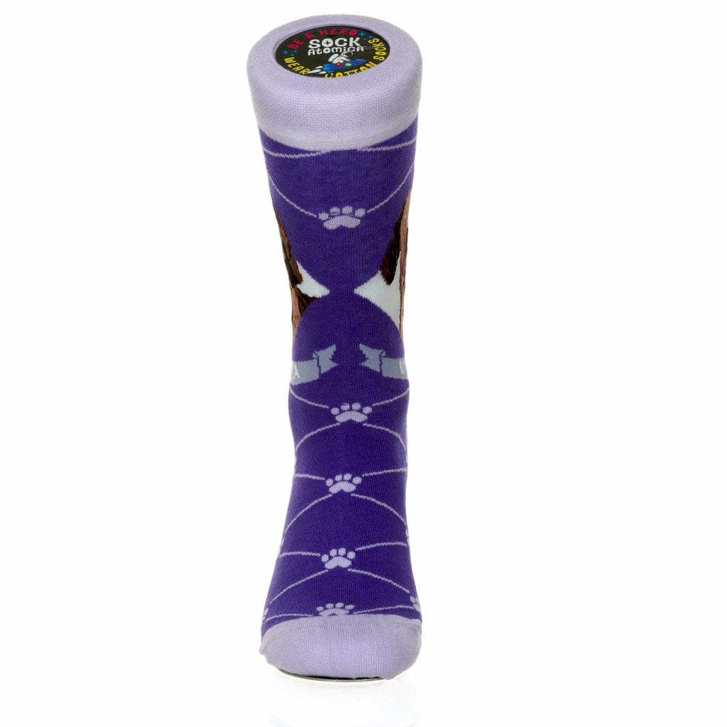 Vizsla | Argyle Pups